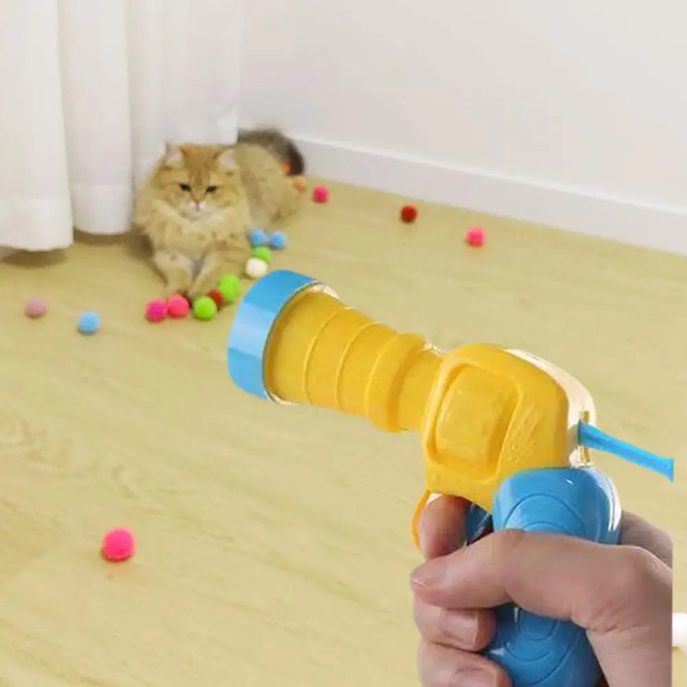 Cat Toys Interactive Training