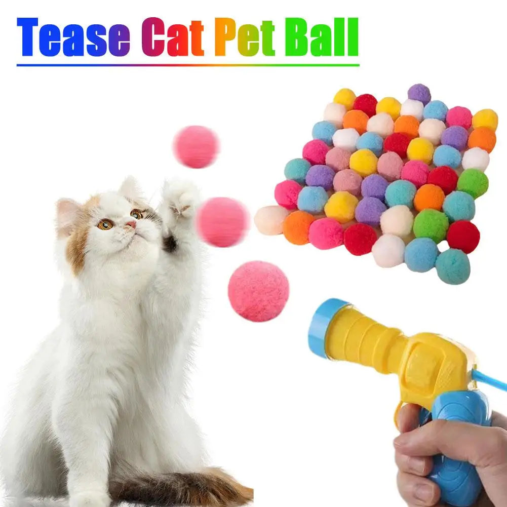 Cat Toys Interactive Training